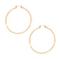 Gold Hypo Allergenic Pincatch Hoops