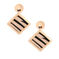 Brown Zebra Fur Earrings